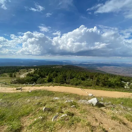 Traumfewo Grueneseck In Innenstadt Mit Wald Von Harztraveler Apartment