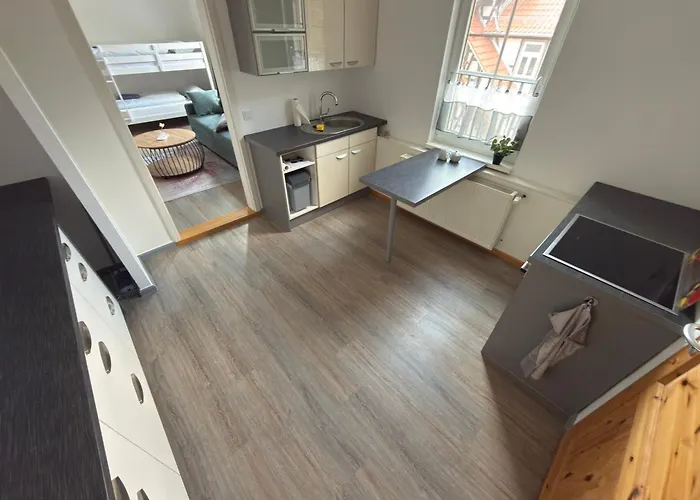 Traumfewo Grueneseck In Innenstadt Mit Wald Von Harztraveler *